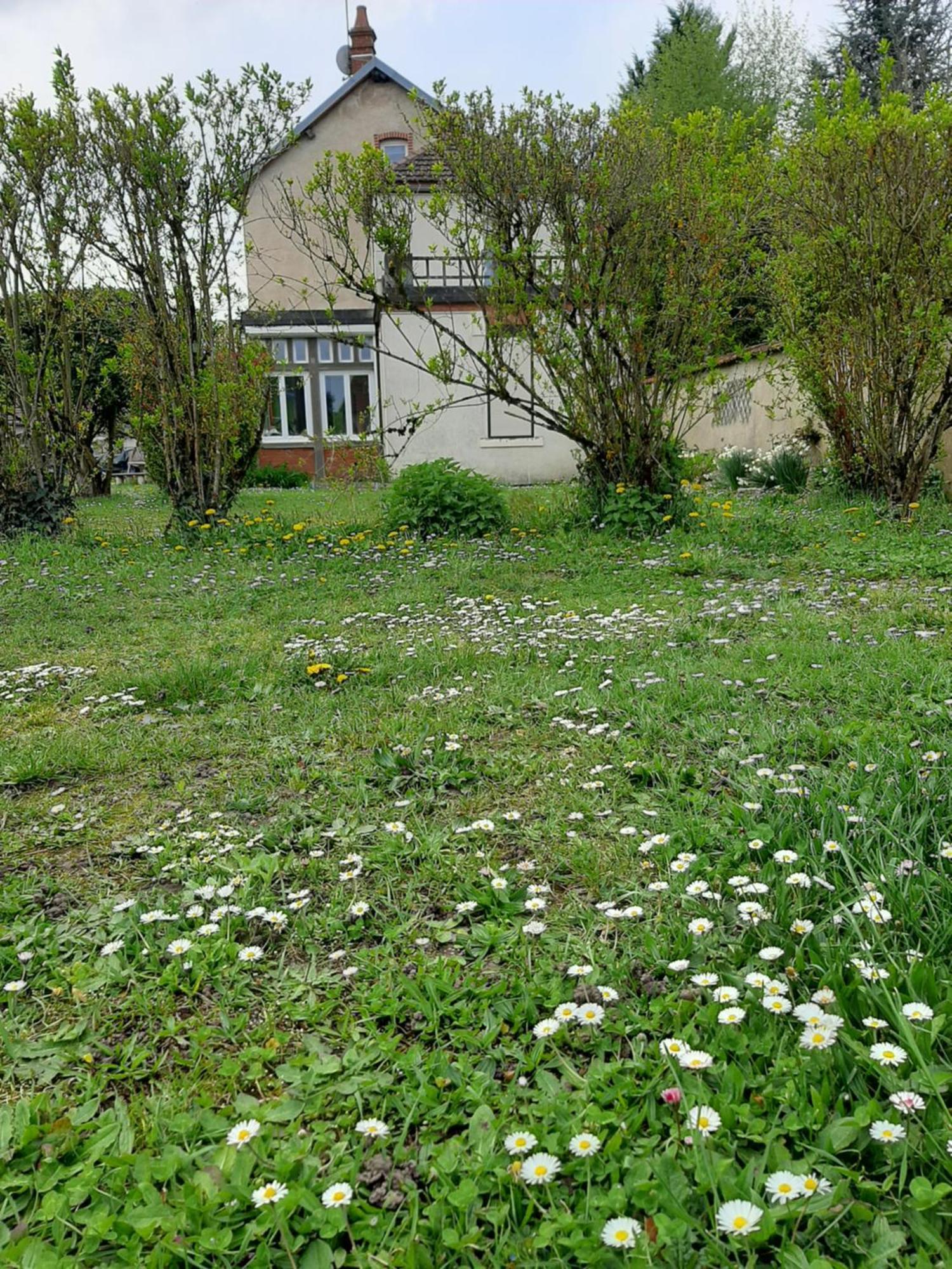 Hotel La Coutrotte Becquine Heuilley-sur-Saone Esterno foto
