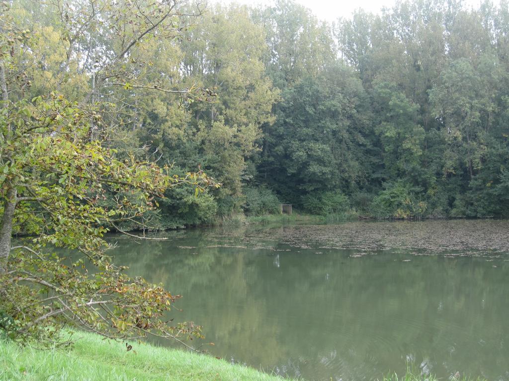 Hotel La Coutrotte Becquine Heuilley-sur-Saone Esterno foto